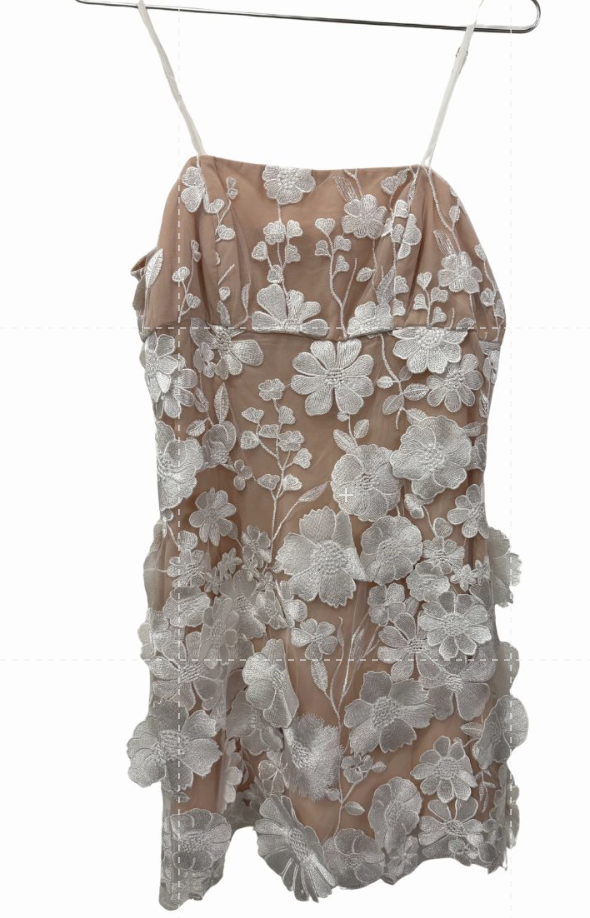 Storia Lace Layered Floral Embroidered Sleeveless Mini Dress Beige White Size S