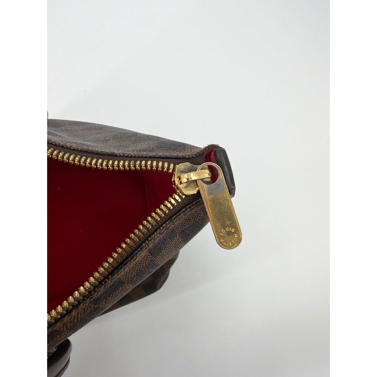 Louis Vuitton Damier Ebene Saleya Tote Brown