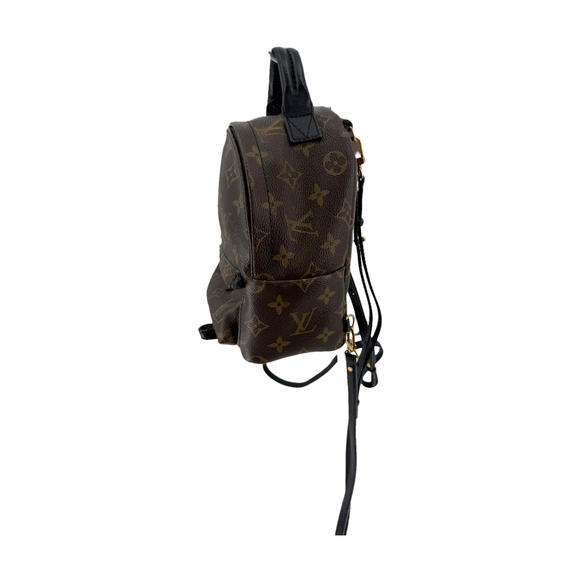 Louis Vuitton Monogram Palm Springs Mini Backpack Brown