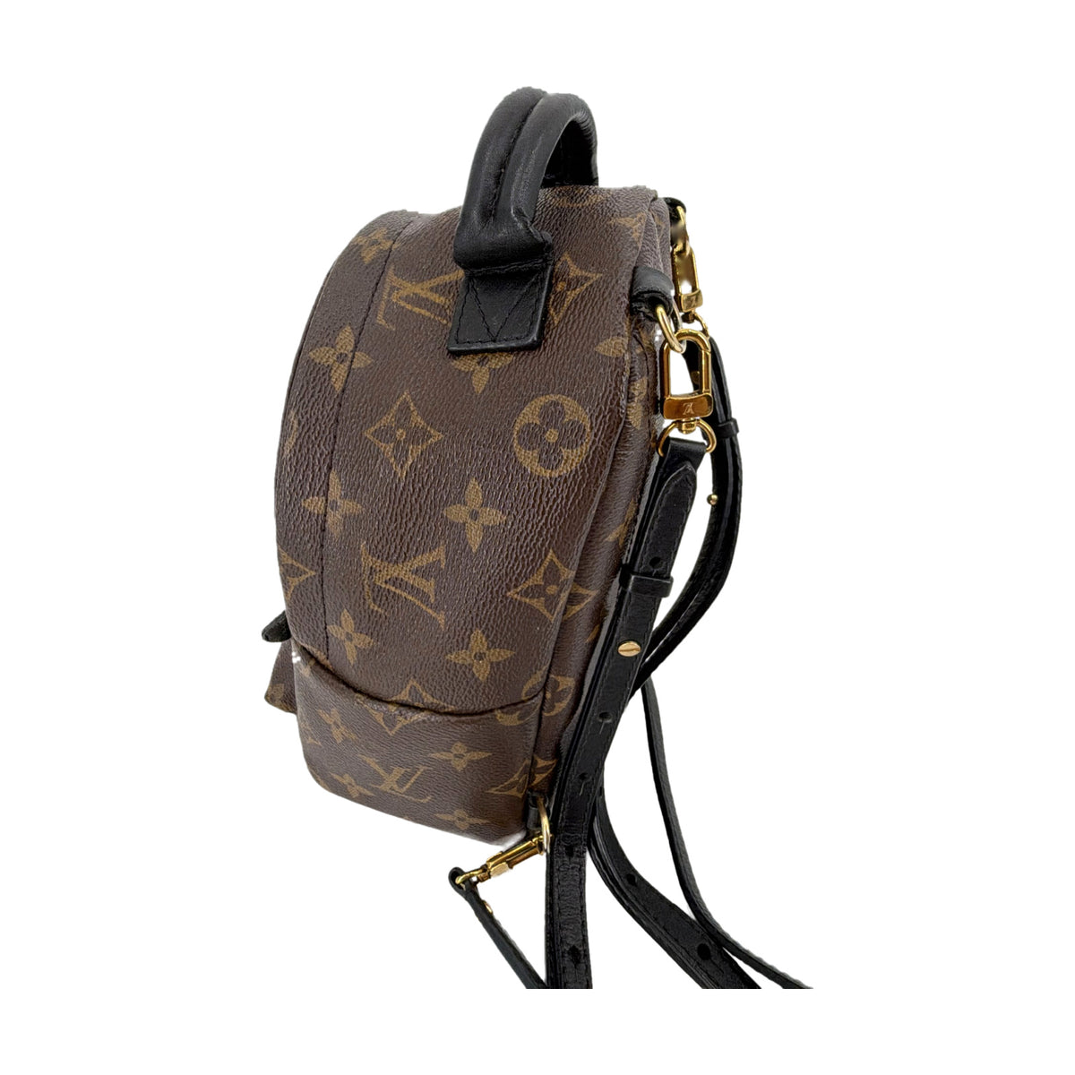 Louis Vuitton Monogram Palm Springs Mini Backpack Brown
