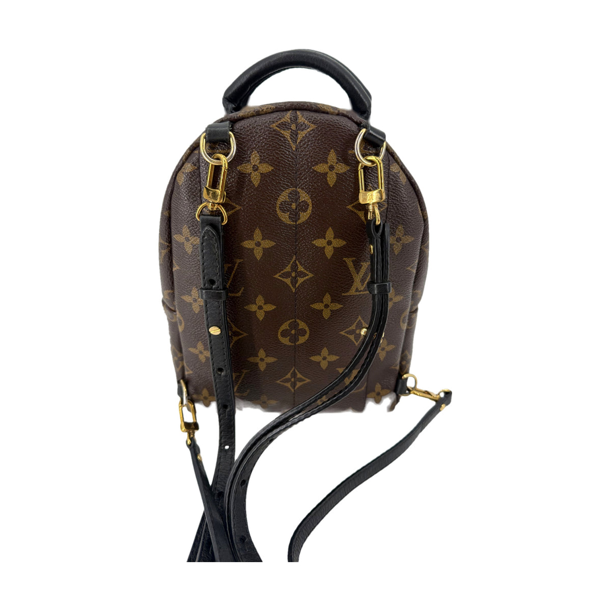 Louis Vuitton Monogram Palm Springs Mini Backpack Brown