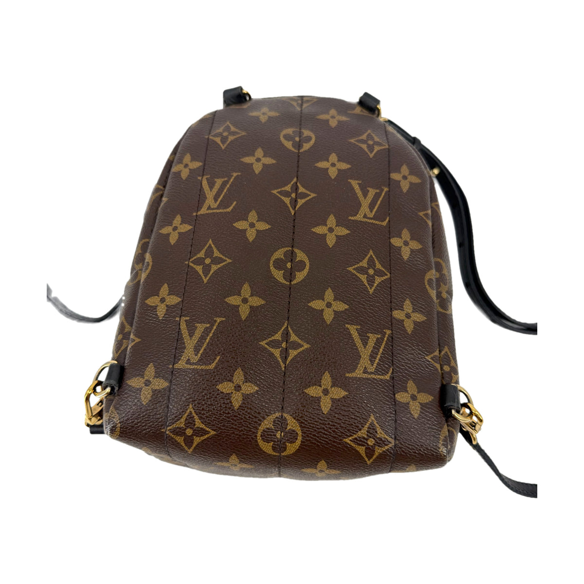 Louis Vuitton Monogram Palm Springs Mini Backpack Brown