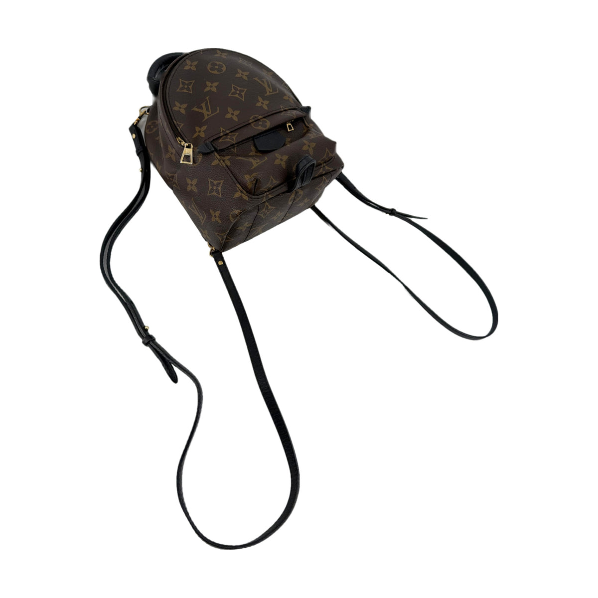 Louis Vuitton Monogram Palm Springs Mini Backpack Brown