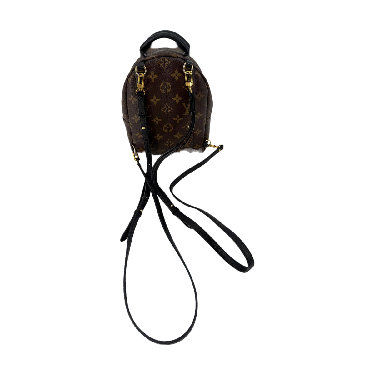 Louis Vuitton Monogram Palm Springs Mini Backpack Brown