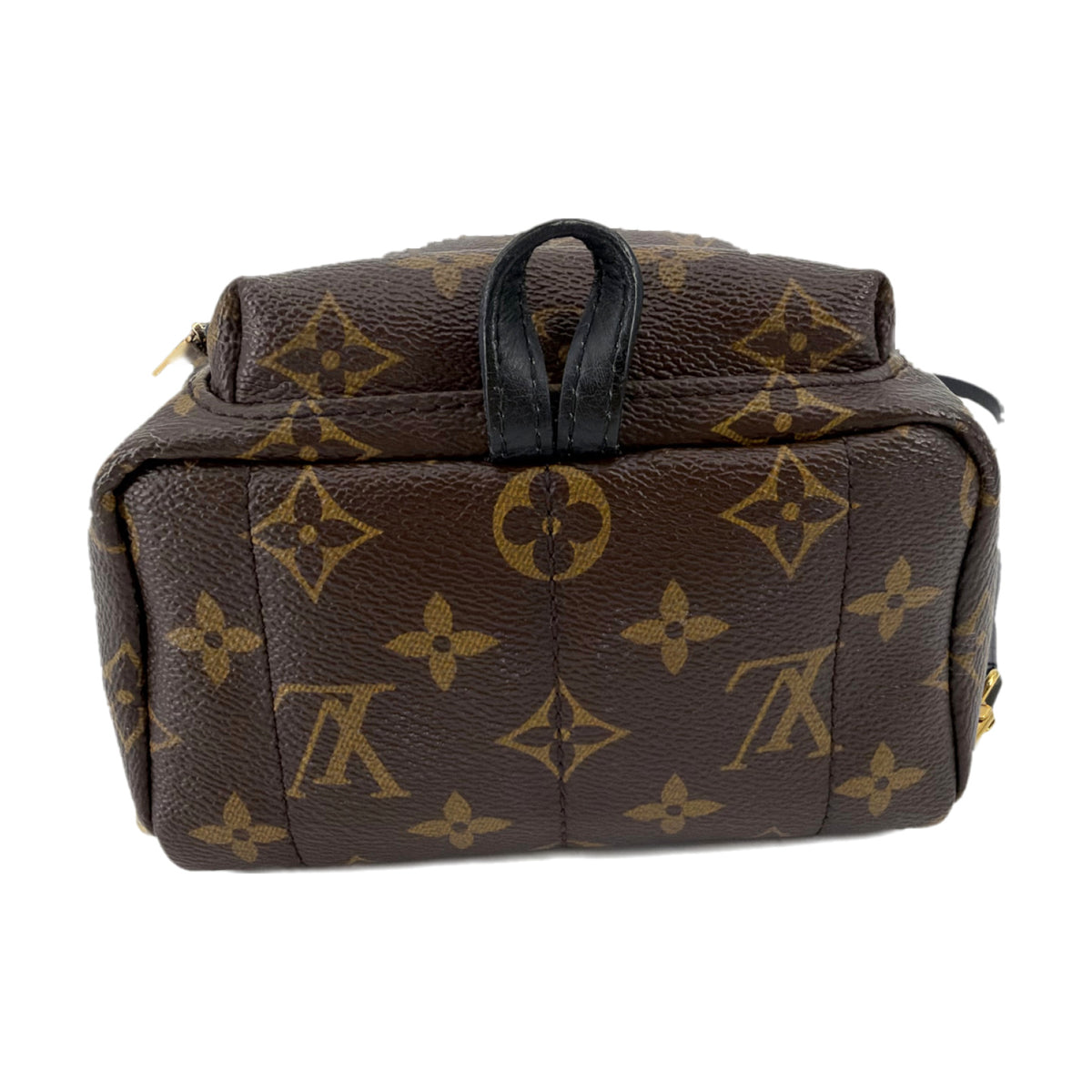 Louis Vuitton Monogram Palm Springs Mini Backpack Brown
