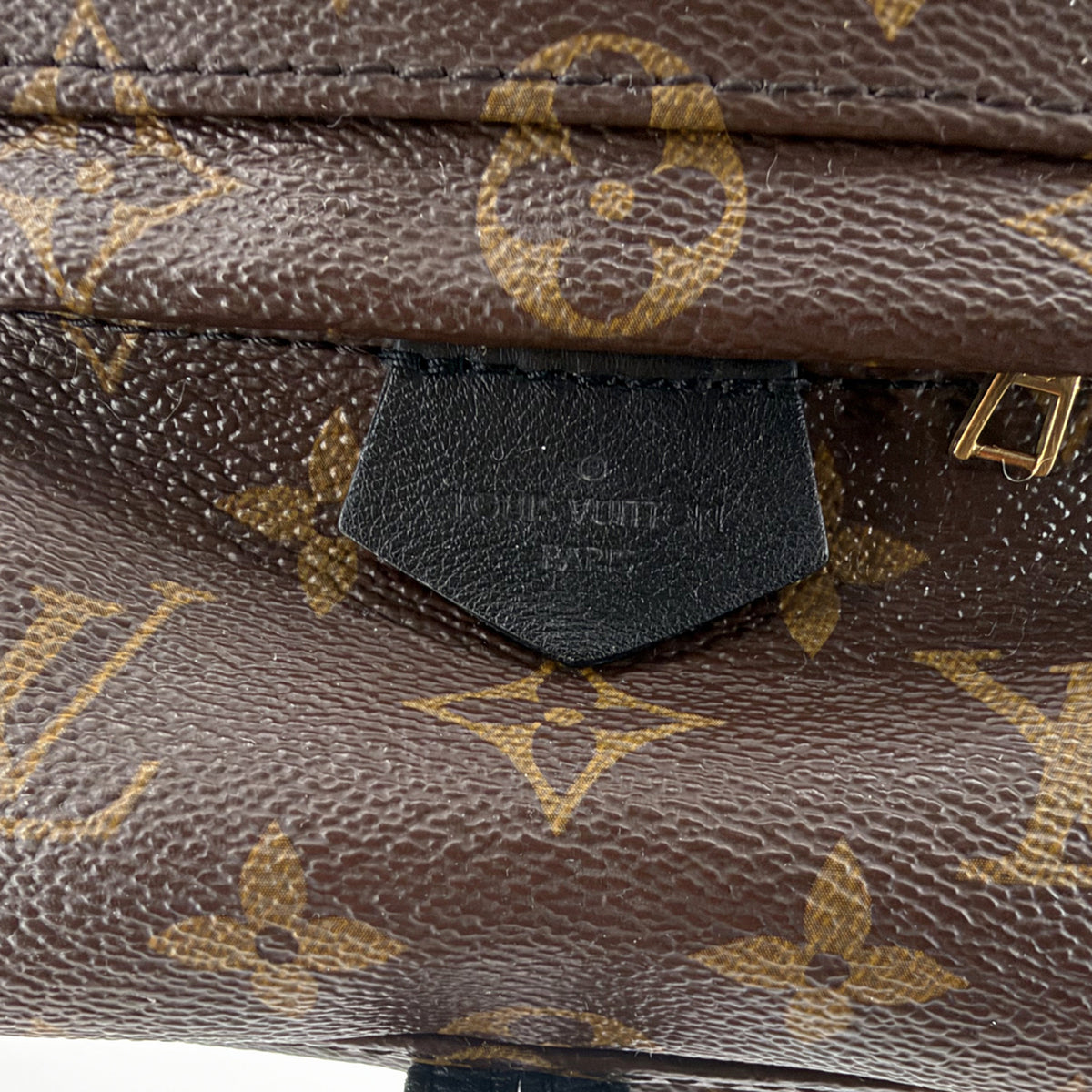 Louis Vuitton Monogram Palm Springs Mini Backpack Brown