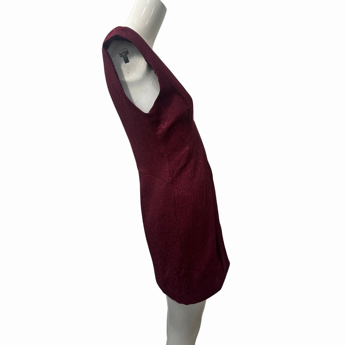 NWT Ramy Brook Netta V-Neck Sleeveless Mini Dress Rouge Women's Size 2