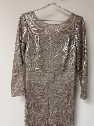 Tadashi Shoji Lace Sequin Embellished Long Sleeve Maxi Evening Dress Sand Size 6