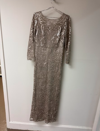 Tadashi Shoji Lace Sequin Embellished Long Sleeve Maxi Evening Dress Sand Size 6