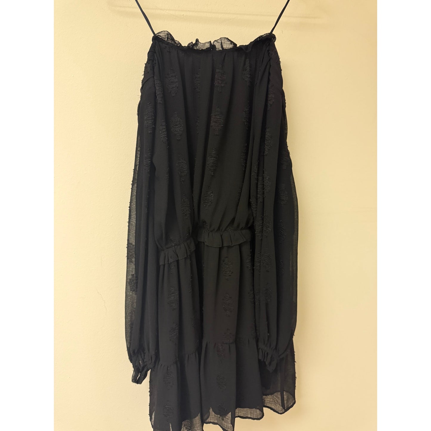 Zara Chiffon Ruffle Accent V- Neck Long Sleeve Mini Dress Women's