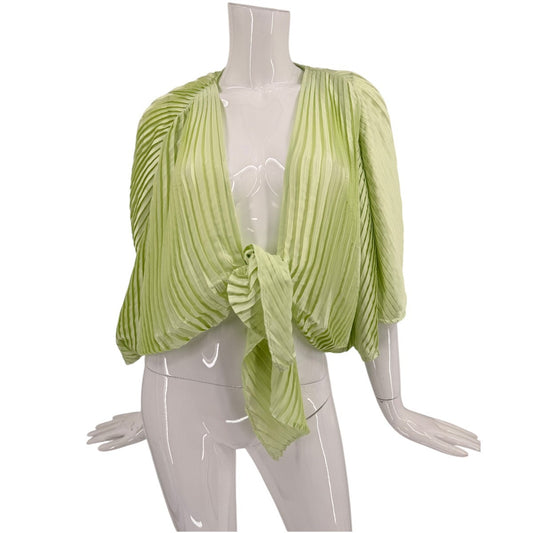 LPA Satin Morgan Front Tie Plunge Neck Pleated Blouse