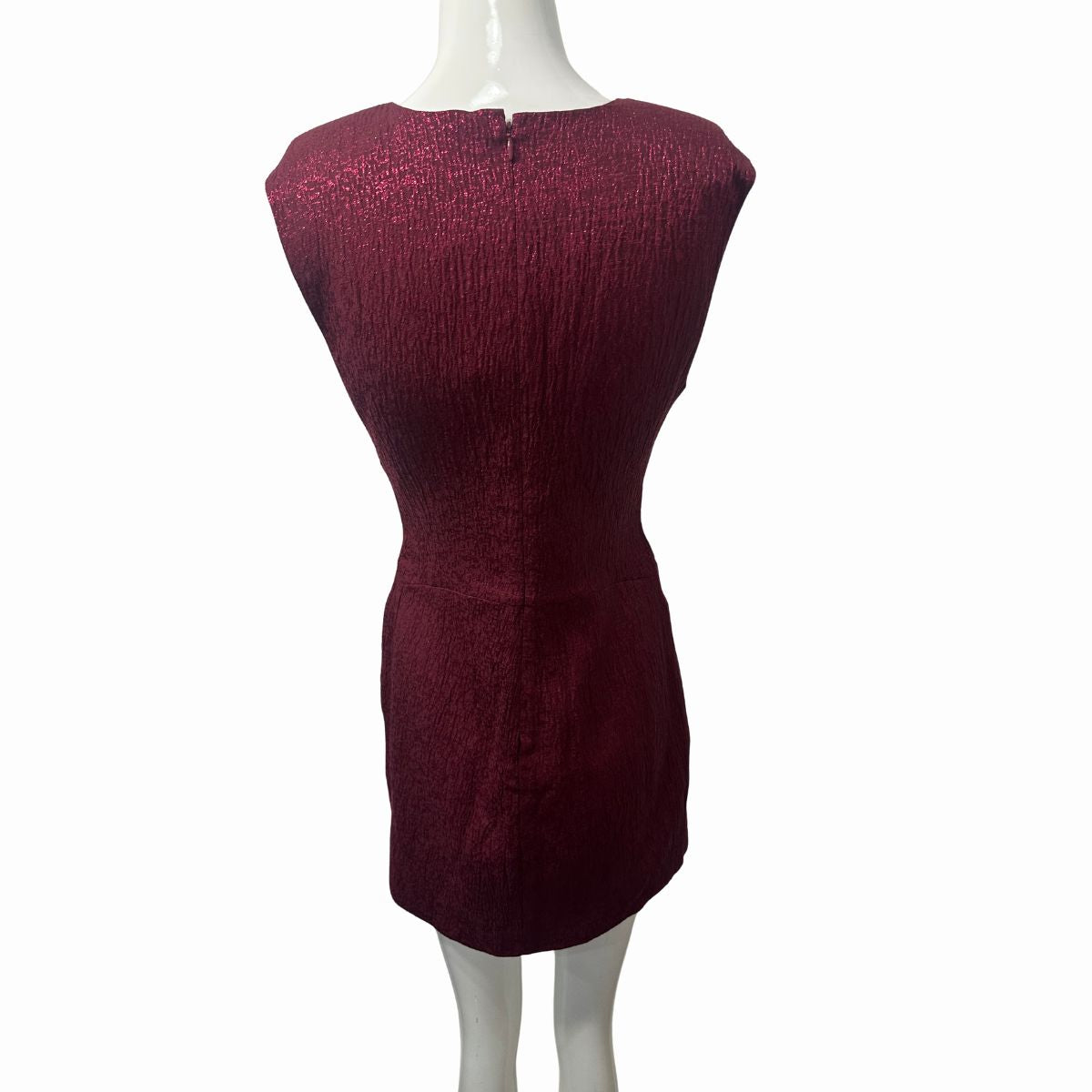 NWT Ramy Brook Netta V-Neck Sleeveless Mini Dress Rouge Women's Size 2