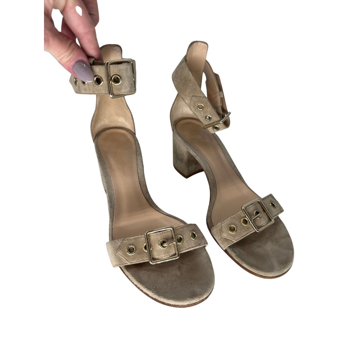 Gianvito Rossi Suede Hayes Buckle Accent Ankle Strap Sandals