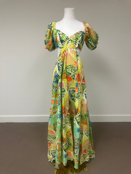 Staud Plant-Motif Coliseum Cut-Out V-Neck Pleated Maxi Dress Capri Tree Size 6