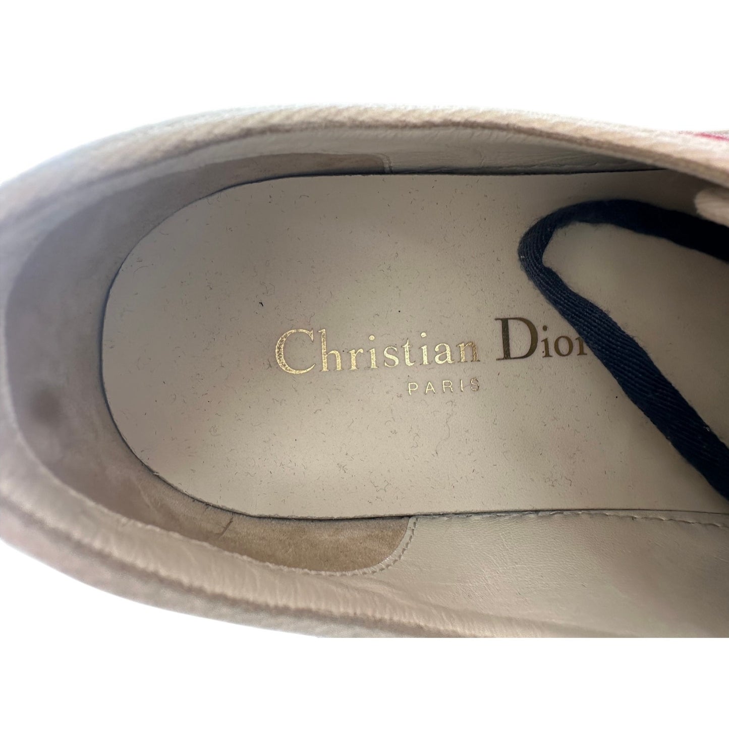 Christian Dior Multicolor Canvas Walk'N'Dior Sneakers