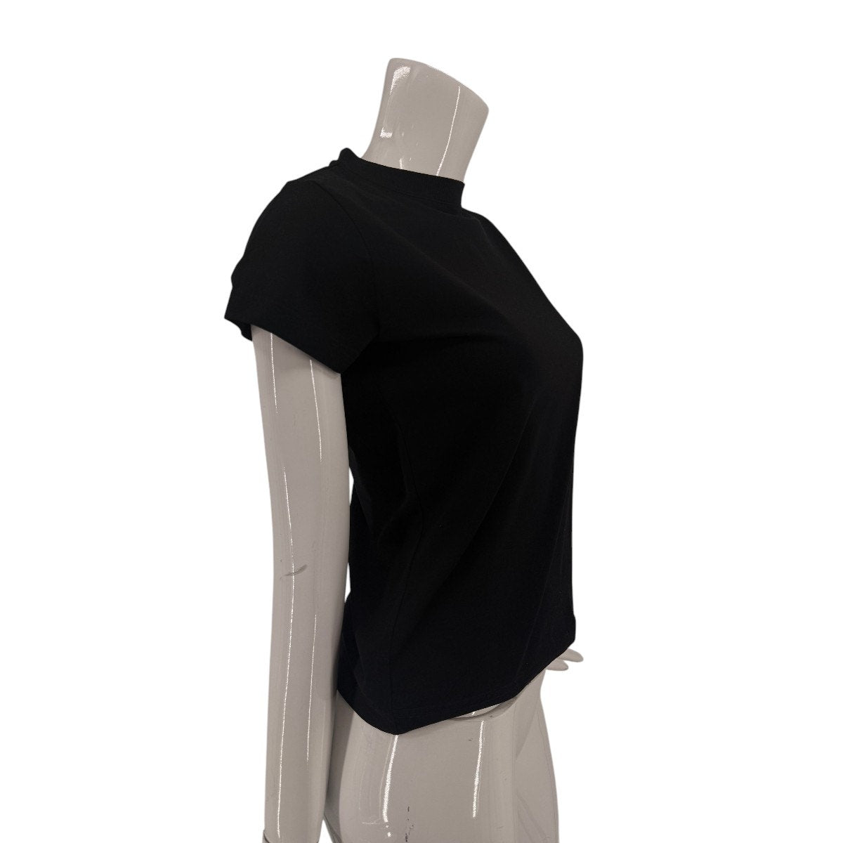 Balenciaga Rose Back Round Neck Short-Sleeve Tee Top