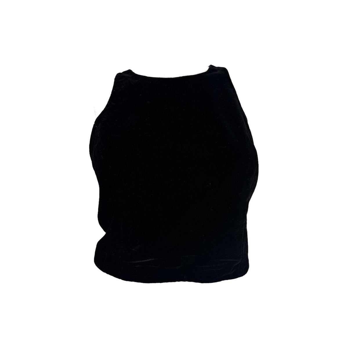 Sachin & Babi Noir Velvet Sleeveless Back Zip Cropped Top