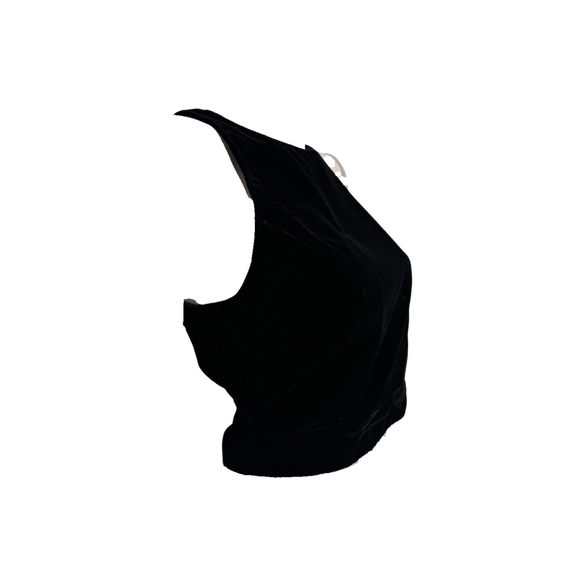 Sachin & Babi Noir Velvet Sleeveless Back Zip Cropped Top